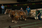 The Great Frederick Fair 2010